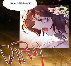 神医弃妃叶凌月巫重